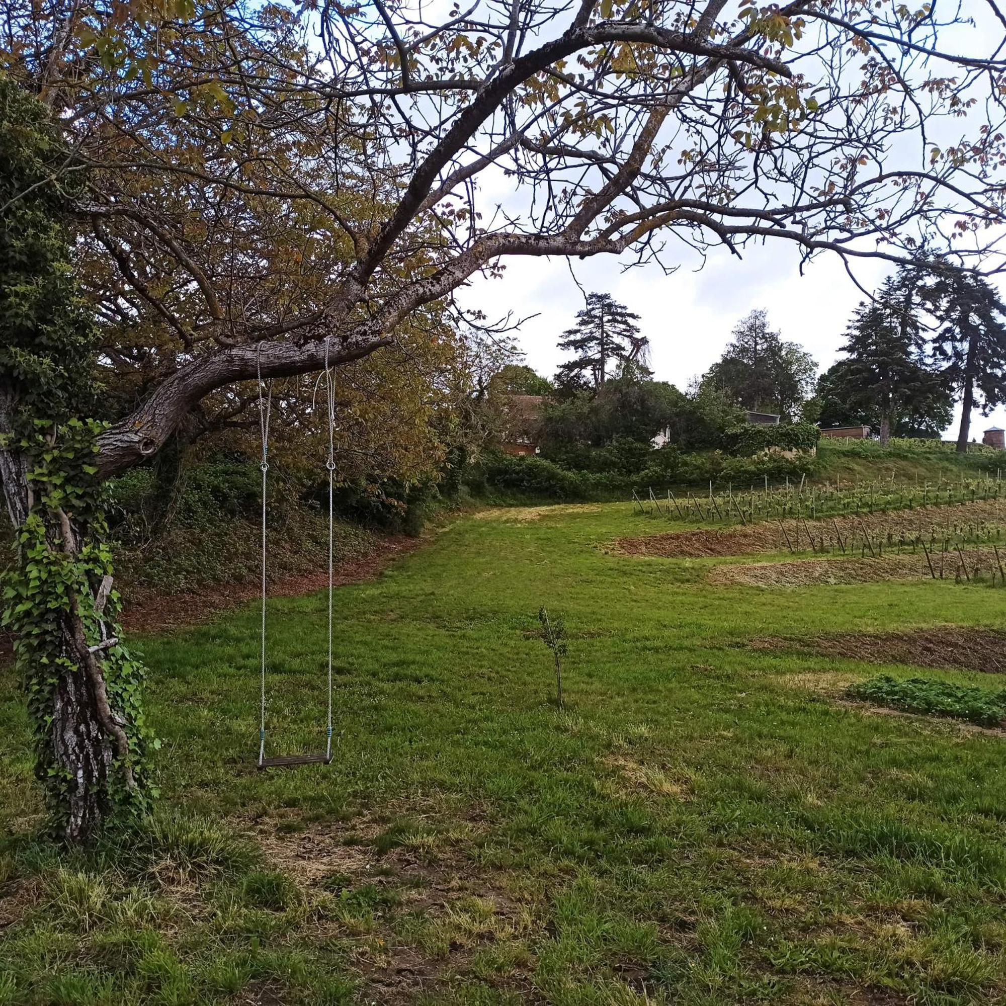 Joli Gite F2 Independant Avec Jardin Prive Rouffach Εξωτερικό φωτογραφία